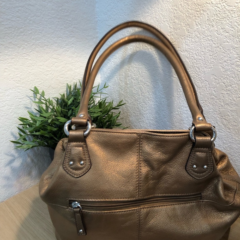 Tiganello Metallic Leather Bag and Wallet